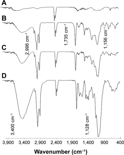 Figure 2 The FTIR spectra of (A) CTS, (B) PL, (C) CTS/PL MS, and (D) CTS/PL/β-CD MS.