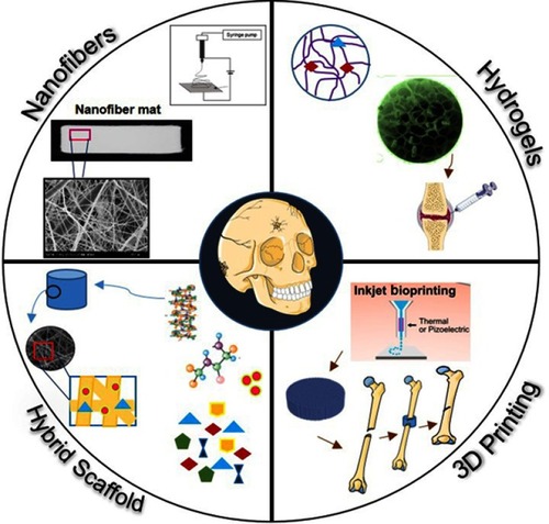 Figure 1 Different advanced strategies for scaffold fabrication used in bone and cartilage tissue engineering: nanofibers, hydrogels, and 3D printing.