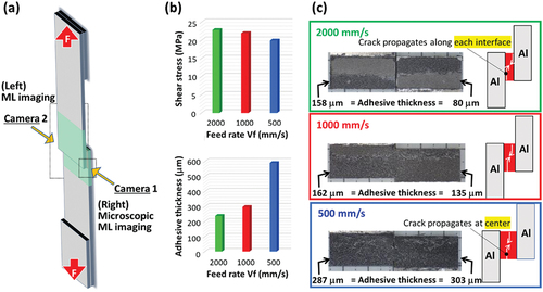 Figure 8. SLS test. (a) Schematic illustration of experimental set-up to identify the recording view of mechanoluminescence in Figure 9; (b) Plots of shear stress values and sum of thickness of residual adhesive layers on fracture surface; (c) Pictures of fracture surface and illustration of crack propagating behavior.