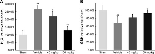 Figure 6 Increased generation of H2O2 and GSH in the mice.
