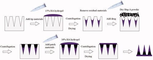 Figure 1. Schematic illustration of Hup A-HA microneedles preparation process.