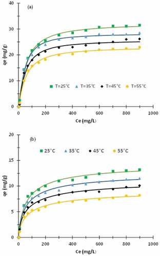 Figure 7. Adsorption isotherms. (a) raw fiber. (b) treated fiber. Solid lines correspond to monolayer layer model with one energy.