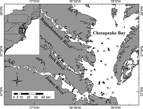 FIGURE 1. Spatial extent of sampling in Virginia estuaries for Summer Flounder (circles; n = 73), Striped Bass (squares; n = 66), and Atlantic Croakers (triangle; n = 72) used in comparisons of direct and indirect condition indices.