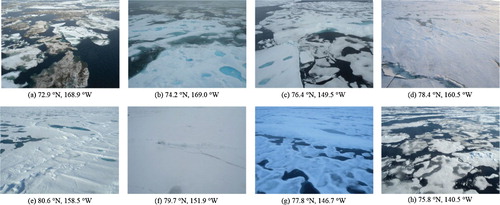 Figure 4. Typical oblique-oriented photos of ice conditions during the cruise; (a–e) are from the northward cruise while (f–,g) are from the southward.
