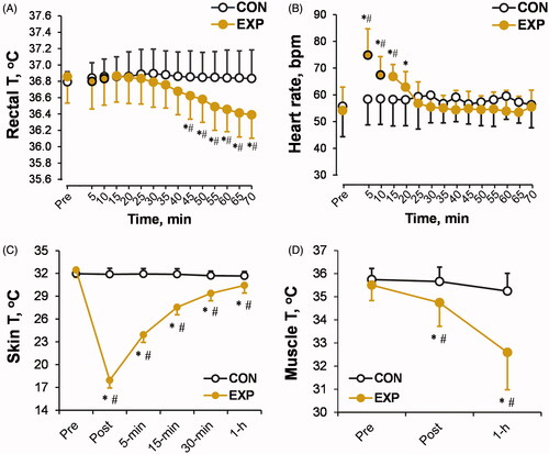 Figure 3. Time-dependent changes in rectal (A), skin (C), and muscle (D) temperatures (T), and heart rate (B) in the experimental (EXP) and control (CON) trials. The black-outlined yellow dots represent the data during the cold-water immersion (CWI). *p < 0.05 compared with the preimmersion value; #p < 0.05 compared with the control (CON) trial. The data are expressed as the mean ± SD.