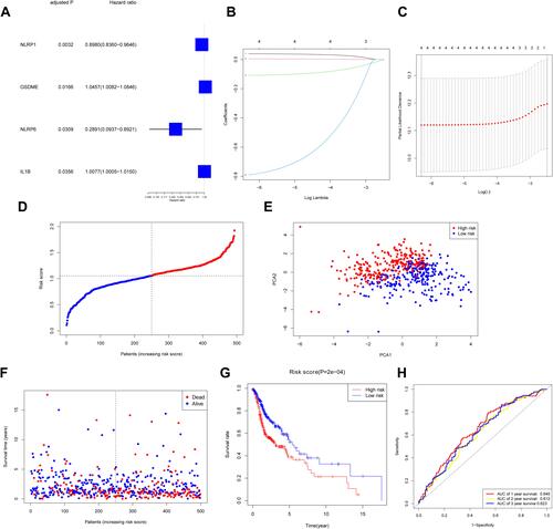 Figure 3 Construction of risk signature in TCGA cohort. (A) Screen out of OS-related genes with univariate cox regression analysis. (B) LASSO regression of 4 OS-related genes. (C) Cross-validation for tuning parameter selection in LASSO regression. (D) Distribution of HNSCC patients based on risk score. (E) PCA plot for HNSCCs based on risk score. (F) Survival status for each patient. (G) Kaplan–Meier curves for OS of patients in high- and low-risk groups. (H) The ROC curves demonstrated the predictive efficiency of the risk score.