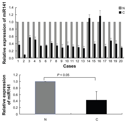 Figure 1 The miR-141 expression is significantly downregulated in renal cell carcinoma.