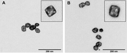 Figure 1 Transmission electron microscopic images of gold nanocages (A) and lactoferrin-bearing gold nanocages (B). Insets: magnification of the samples showing the morphology of the nanocages.