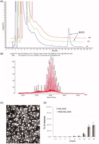 Figure 1. Identification of iRGD conjugation and characteristics of DOX liposomes. (A) Synthetic reaction monitored by HPLC at the beginning, 12 and 48 h later. (B) Identification of the reaction product by MALDI-TOF MS. (C) Morphology of iRGD-SSL-DOX measured by TEM. (D) In vitro release rate of SSL-DOX and iRGD-SSL-DOX. 0.5 ml liposome and 0.5 ml FBS were placed in a dialysis bag (Mw cutoff 12 000–14 000 Da) and incubated in 50 ml PBS at 37 °C with gentle shaking (100 rpm). The released DOX was measured by HPLC at predetermined time points (n = 3).