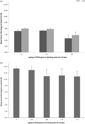 Figure 3. T-cell-dependent (TDAR) or T-cell-independent (TIAR) IgM antibody responses. Responses of mice exposed to PFOA via drinking water for 15 days, evaluated in sera collected 1 day (TDAR) or 2 days (TIAR) after exposure ended. Data represent mean ± SD. (a) The TDAR of wild-type C57BL/6-Tac (WT) or PPARα knockout (KO) B6.129S4-Ppartm1GonzN12 mice (n = 6/strain/dose). The TDAR did not differ between WT or PPARα KO mice at any dose. (b) The TIAR of C57BL/6N mice (n = 8/dose). *Statistical (p < 0.05) difference between treated group and corresponding 0 mg PFOA/kg group.