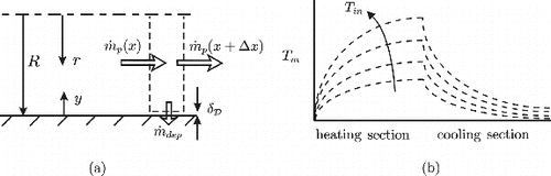 FIG. 4. (a) The particle mass flux boundary condition applied at the pipe surface. (b) The mixed-mean temperature as a function of cooling-section inlet temperature Tin in the heated pipe-flow experiments of Romay et al. (Citation1998).