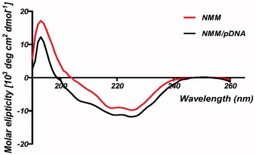 Figure 6. CD curves for NMM protein and NMM/pDNA complex at 9 N/P. Differences between the spectra probably are belong to the binding of NMM to pDNA. The results were analyzed by CDNN software which showed the fit mechanism for NMM/pDNA interaction that enhanced α-helices. NMM: NLS-Mu-Mu; N/P ratio: nitrogen to phosphate ratio.