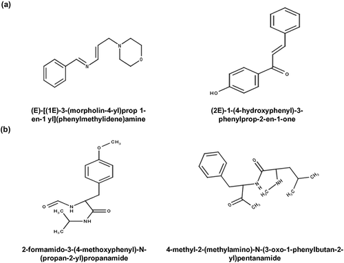 Figure 5. Common scaffolds among autophagy targets. (a) Structures of common scaffolds in MTOR inhibitors and AMPK activators, (b) Structures of common scaffolds in calcium channel blockers and CAPN inhibitors.