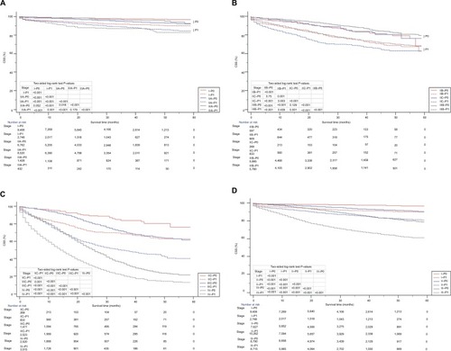 Figure 3 Kaplan–Meier survival curves of patients based on the P–TNM staging system.Notes: (A) CSS of I–P0 stage, I–P1 stage, IIA–P0 stage, IIA–P1 stage, IIIA–P0 stage, and IIIA–P1 stage. (B) CSS of IIB–P0 stage, IIB–P1 stage, IIC–P0 stage, IIC–P1 stage, IIIB–P0 stage, and IIIB–P1 stage. (C) CSS of IIC–P0 stage, IIC–P1 stage, IIIC–P0 stage, IIIC–P1 stage, IV–P0 stage, and IV–P1 stage. (D) CSS of I–P0 stage, I–P1 stage, II–P0 stage, II–P1 stage, III–P0 stage, and III–P1 stage.Abbreviation: CSS, cancer-specific survival.