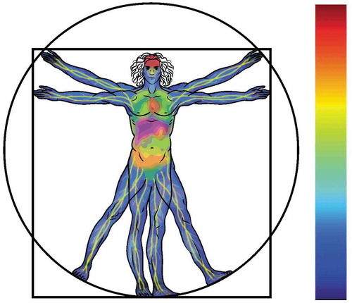 Figure 6. Tissue-specific autophagic activity distribution imagined: a systemic human autophagy flux distribution profile, describing regions of high (red), intermediate (yellow) and low (blue) autophagy flux.