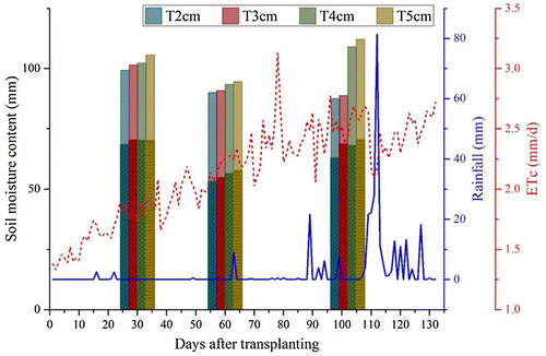 Figure 2. Rainfall, ETc, and soil moisture content at 15 and 25 cm depths.