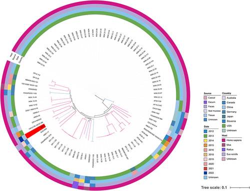Figure 3 Recombination-filtered core genome phylogeny for a total of 98 C. ramosum isolates worldwide deposited in the NCBI GenBank database. The isolation date, host, source, and country are represented by squares of different colors. The isolate recovered by this study was highlighted in the red color.