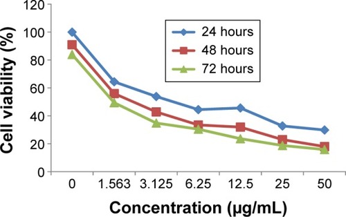 Figure 2 MTT assay growth curve of PC3 cells treated with biseugenol B at 24, 48, and 72 hours.