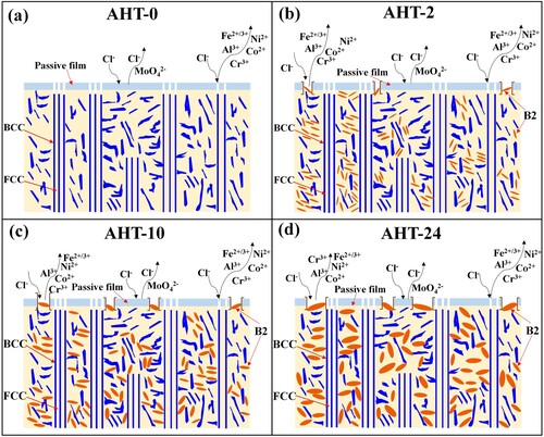 Figure 19. Schematic illustration of the destroy mechanism of passive film completeness on the FCC phase by precipitated needle-like B2 phases during the annealing heat treatment.