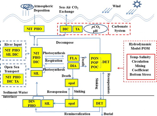 Fig. A1 Schematic overview of the biogeochemical model for the Yellow and East China Seas. Prognostic variables are shown in yellow boxes.