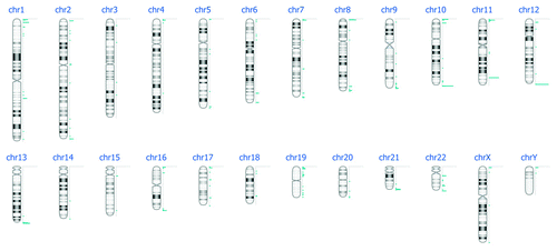 Figure 5. DNA methylation events per chromosome after DNA enrichment with MethylAmp MeDIP kit, hybridization to Nimblegen 385K Human Promoter plus CpG Islands arrays and bioinformatics analysis.