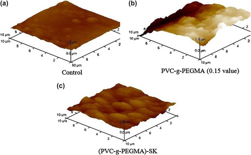 Figure 6. AFM of PVC, graft copolymer, and SK immobilized onto graft copolymner.