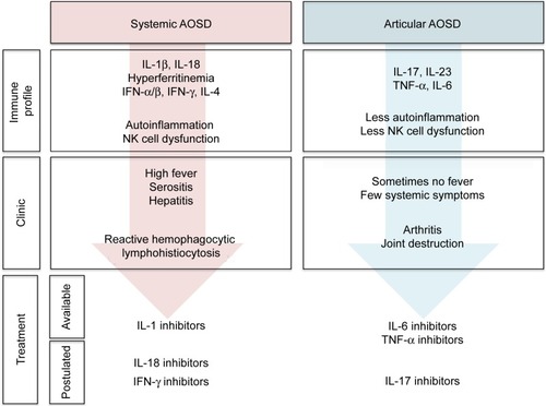 Figure 2 Two subtypes of adult-onset Still’s disease.