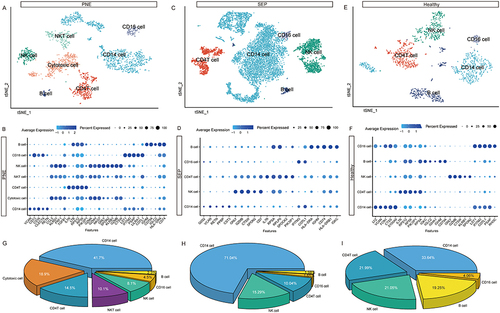 Figure 3 Single-cell immune landscape of acute respiratory distress syndrome patients and healthy controls. (A) The t-SNE plot of major immune cells of PNE-ARDS patients. (B) Identification of marker genes for each cell population of PNE-ARDS patients. The size of the dot corresponds to the percentage of cells in the cell population expressing the gene. The depth of the color represents the average expression level of the gene. (C) The t-SNE plot of major immune cells from SEP-ARDS patients. (D) Identification of marker genes for each cell population. The size of the dot corresponds to the percentage of cells in the cell population expressing the gene in SEP-ARDS. The depth of the color represents the average expression level of the gene. (E) The t-SNE plot of major immune cells from healthy controls. (F) Identification of marker genes for each cell population of healthy controls. The size of the dot corresponds to the percentage of cells in the cell population expressing the gene. The depth of the color represents the average expression level of the gene. (G) The percentages of major immune cells in PNE-ARDS patients. (H) The percentages of major immune cells in SEP-ARDS patients. (I) The percentages of major immune cells in healthy controls.