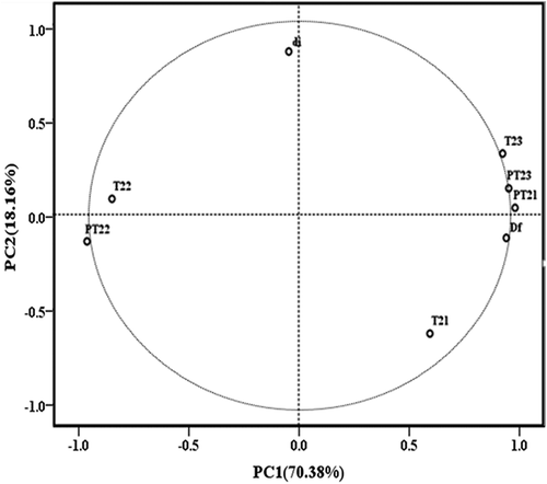 Figure 5. Principal component analysis (PCA) bi-plot for PC1 and PC2 showing the relationship between the analyzed parameters.PT21, PT22, and PT23 are proportion of T21, T22, and T23, respectively. di: pore diameter.