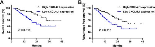 Figure 2 Kaplan-Meier curves of prognosis. Overall survival (A) and recurrence-free survival (B) of patients with lung cancer stratified by serum CXCL4L1 expression.