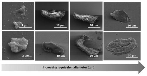 Figure 4. The morphology of RDX particles, the images are taken at tilt-angle of 45 degrees. Smaller particles are harder to resolve as they agglomerate. Smaller particles are close to spheroidal shape, and particles greater than 30 microns resemble platelets or flakes.