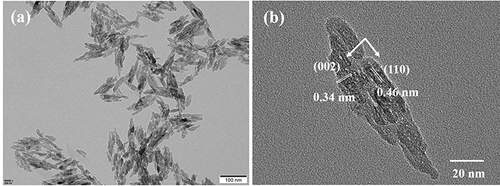 Figure 4 Transmission electron microscopy (TEM) (a) and high-resolution (HR) TEM (b) images of nHAPMn5.
