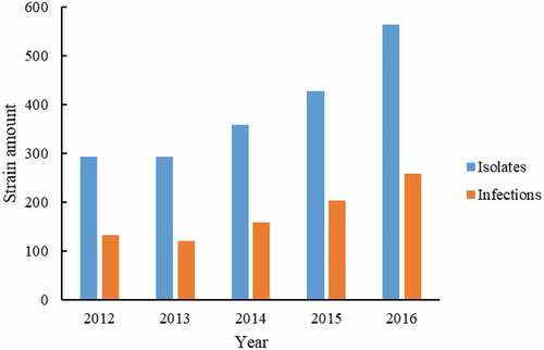 Figure 1. The number of P. aeruginosa and infected patients. The 1936 P. aeruginosa strains were distributed to each year (blue bar). Amongst, 874 isolates were non-repetitively isolates from different infection cases (Orange bar).