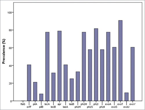 Figure 2. Prevalence (%) of the tested virulence encoding genes in the clinical P. aeruginosa isolates.