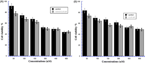 Figure 4. (A) Viability of HEK cancer cells for NANOCUR-MF at different nanocurcumin concentrations versus control sample. (B) Viability of HEK cancer cells for CUR-MF at different curcumin concentrations versus control sample. The Y-axis indicates the cell viability at λ = 550 nm, and the X-axis corresponding to curcumin concentration. Data represent three independent experiments.