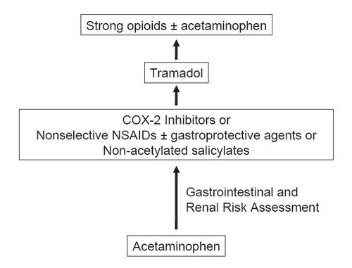 Figure 1 ACR treatment guidelines for pharmacological management of noncancer chronic pain systemic agents (CitationACR 2000).