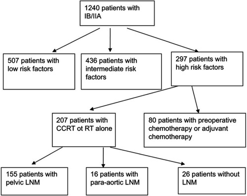 Figure 1 Flow chart of the study population.Abbreviations: CCRT, concurrent chemoradiotherapy, RT, radiotherapy, LNM, lymph node metastasis.