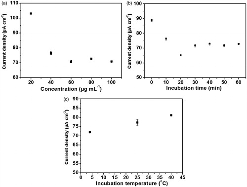 Figure 6. Effect of (a) concentration of activated anti-immunoglobulin G solution, (b) incubation time for the immobilization of antibody and (c) incubation temperature of antibody attachment on differential pulse voltammetric current responses of the ferro/ferricyanide system at the prepared anti-immunoglobulin G-conjugated screen-printed carbon electrode.