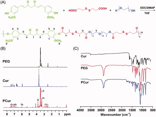 Figure 1. Synthetic scheme of PCur conjugate (A); representative 1H NMR (B) and FT-IR (C) spectra of original reactants (PEG and Cur) and the final product (PCur).