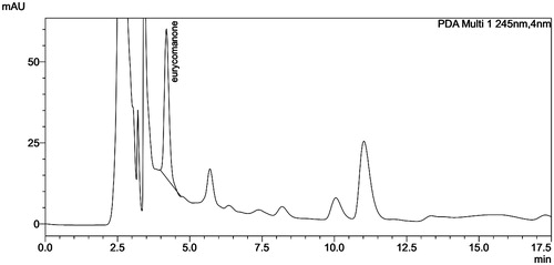 Figure 4. HPLC chromatogram of eurycomanone extract from 14 days-old cell aggregate of E. longifolia.