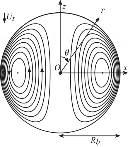 Figure 1. Schematic of Hill’s spherical vortex.