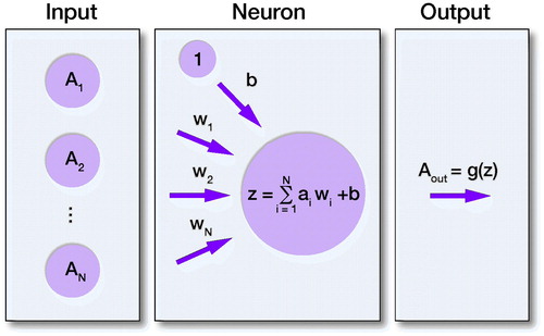 Figure 2. Visualization of artificial neuron model. Where A1–AN are the inputs, W1–WN are the weights for the input connections to neuron, b is the bias value, z is the output from the neuron.