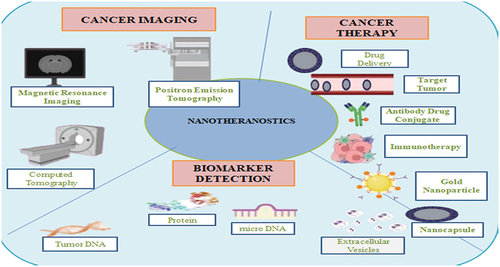 Figure 1. Nanotheranostics in multifunctional nanomedicine strategy with both therapeutic and diagnostic property.