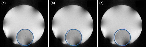 Figure 7. NMR images of polyNIPA80 obtained at 15°C (a), 28°C (b), and 36.5°C (c) and TE = 40 ms.