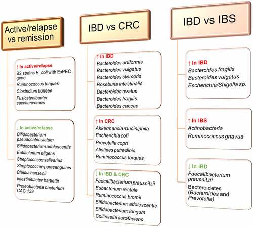Figure 6. Differential potential of gut bacteria at species-level. Specific bacteria species-changes drive the dysbiosis associated with IBD and other gastrointestinal diseases. These increases and decreases can be harnessed to differentiate an active or relapsed IBD from remission, and IBD from CRC and IBS. However, large studies are required to confirm these observations and expand the available data.