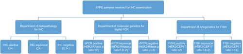 Figure 1 Study design for HER2 testing by IHC, QuantStudio 3D dPCR, and FISH.