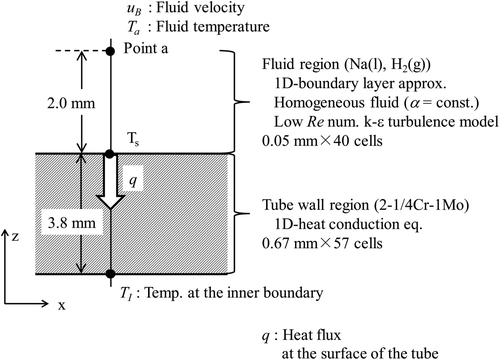 Figure 6. Analytical region.