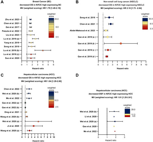 Figure 3. High expression of KIF2C is associated with reduced OS and DSF in BC, HCC and NSCLC. (A–C) The meta-analyses concerning KIF2C/MCAK’s importance as a prognostic marker is depicted as forest plots for OS of BC, NSCLC and HCC patients (A–C). (D) Meta-quantification of KIF2C/MCAK involvement in DSF in HCC patients. All individual studies were scored based on their patient cohort. The weighted score (ws) is visualized in a heatmap, dark blue (high ws), yellow (intermediate ws) and red (low ws). The overall mean value (MV) extracted from all studies was calculated by integrating the weighted score. Abbreviations: OS: overall survival; DFS: disease-free survival.