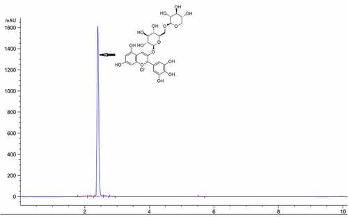 Figure 1. HPLC chromatogram of delphinidin-3-sambubioside (Dp3-Sam)