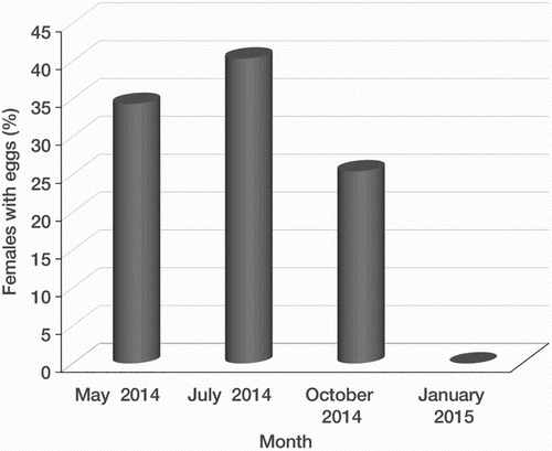 Figure 6. Proportion of female wētā brooding eggs in different months.